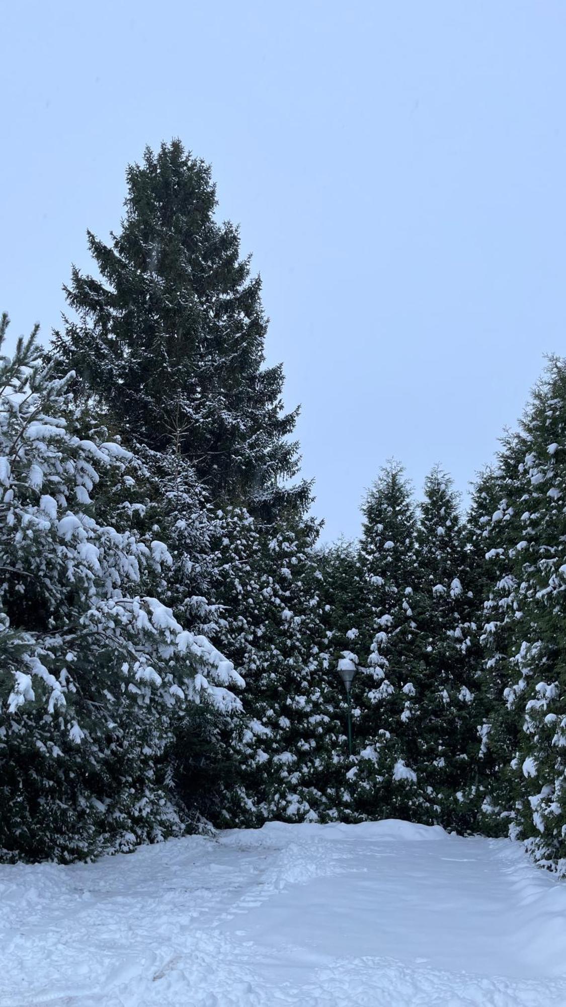 Noclegi-Splywy Bugiem Slawatycze Exteriér fotografie